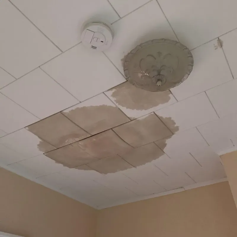 Ceiling Water Damage Repair in Rockingham County, NC