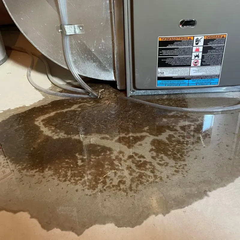 Pipe Burst and Leak Restoration in Rockingham County, NC