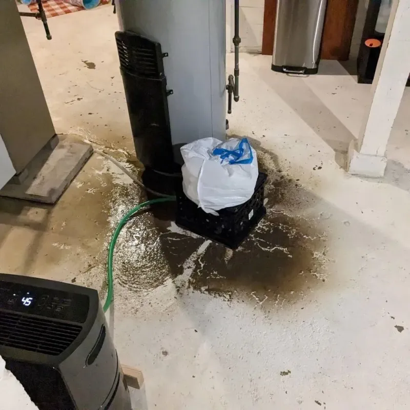 Sewage Backup Cleanup Service in Rockingham County, NC